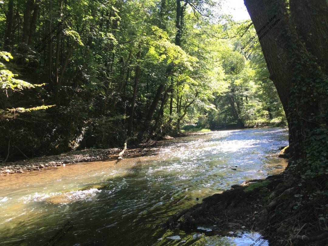 Planinskom stazom do (naturističkog) vrha