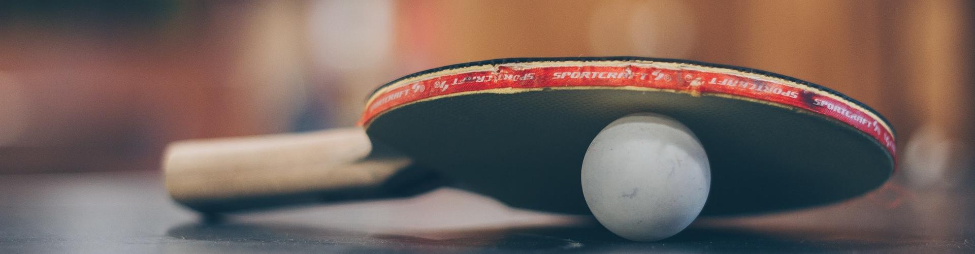 Naturistički stoni tenis• • •subotom i nedeljom