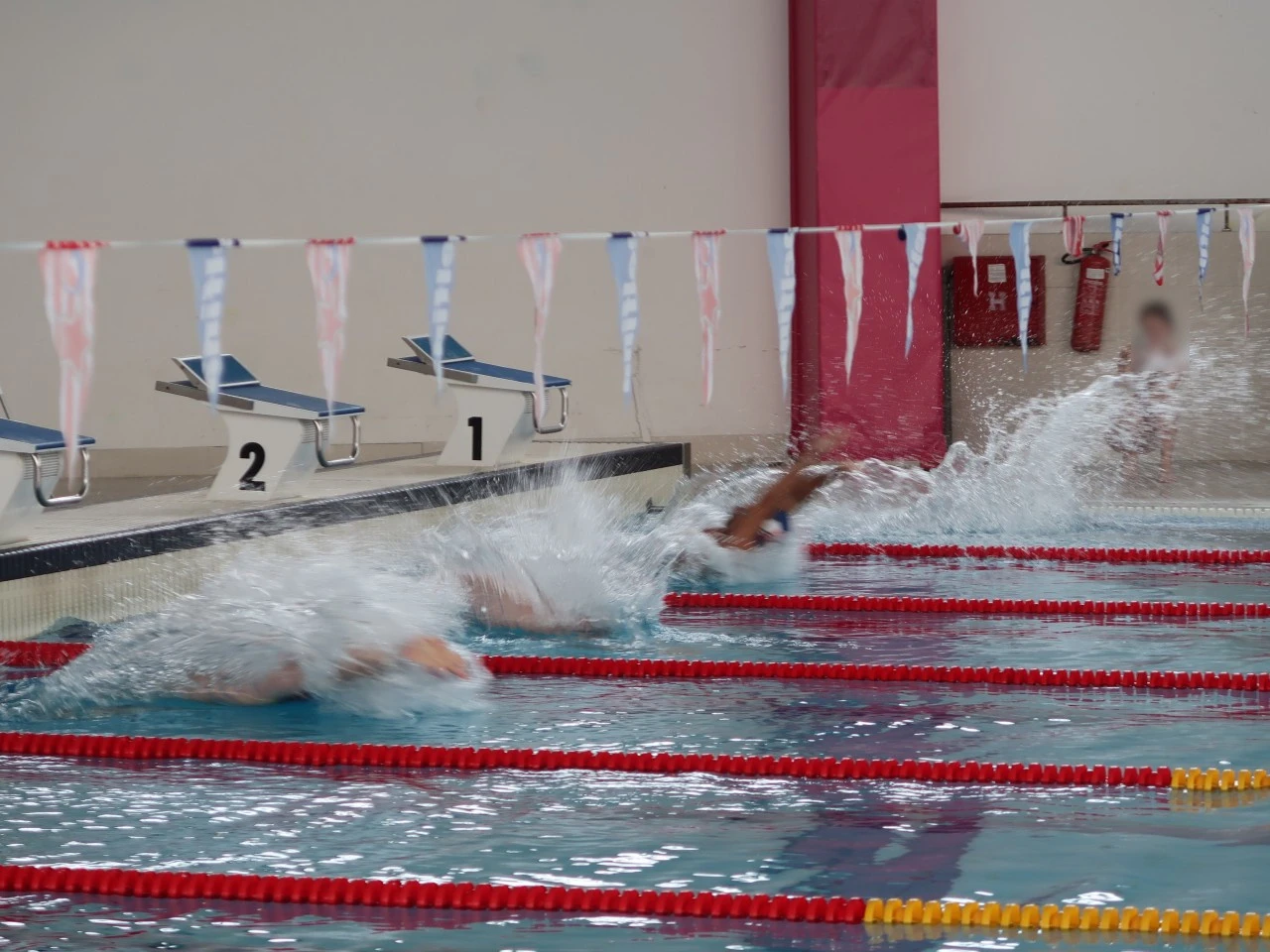 Swimming Gala 2023 Beograd