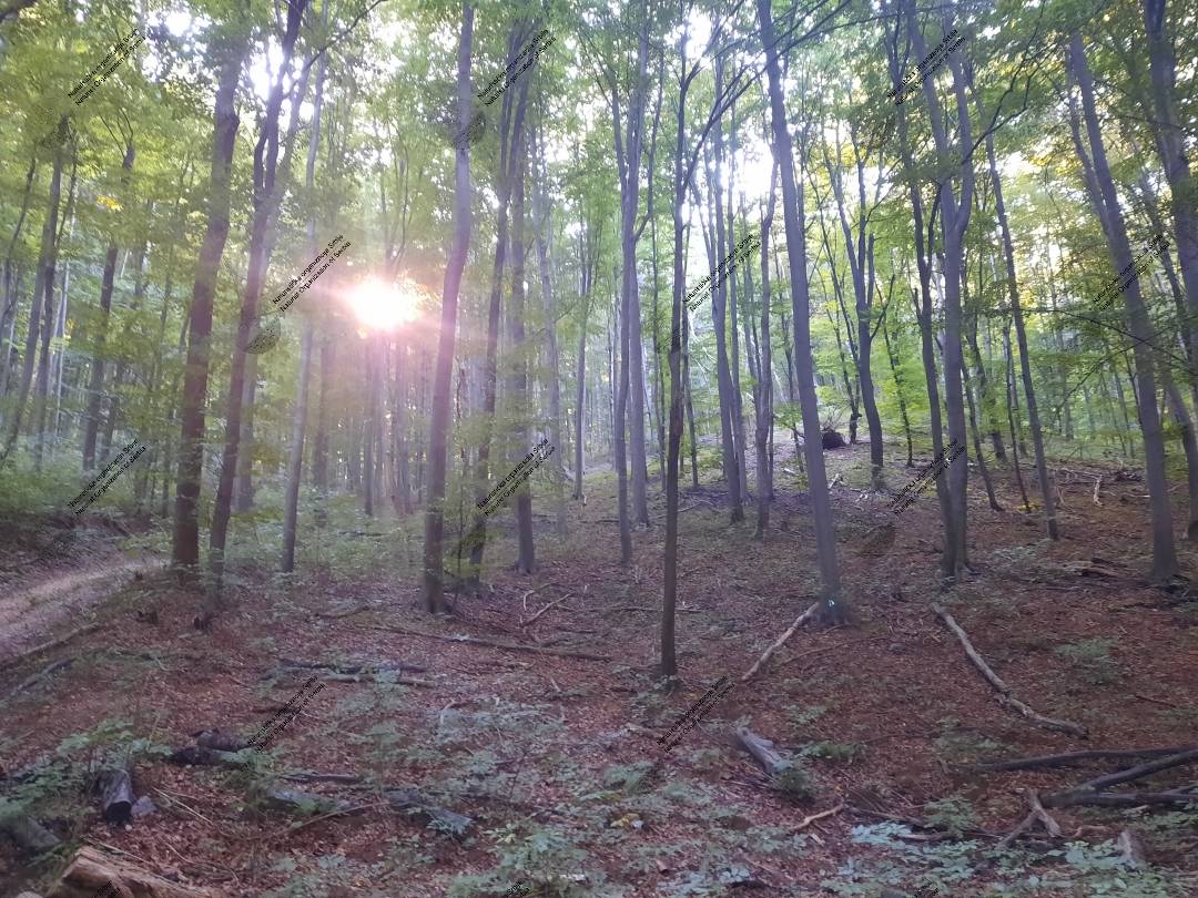 Planinskom stazom do (naturističkog) vrha