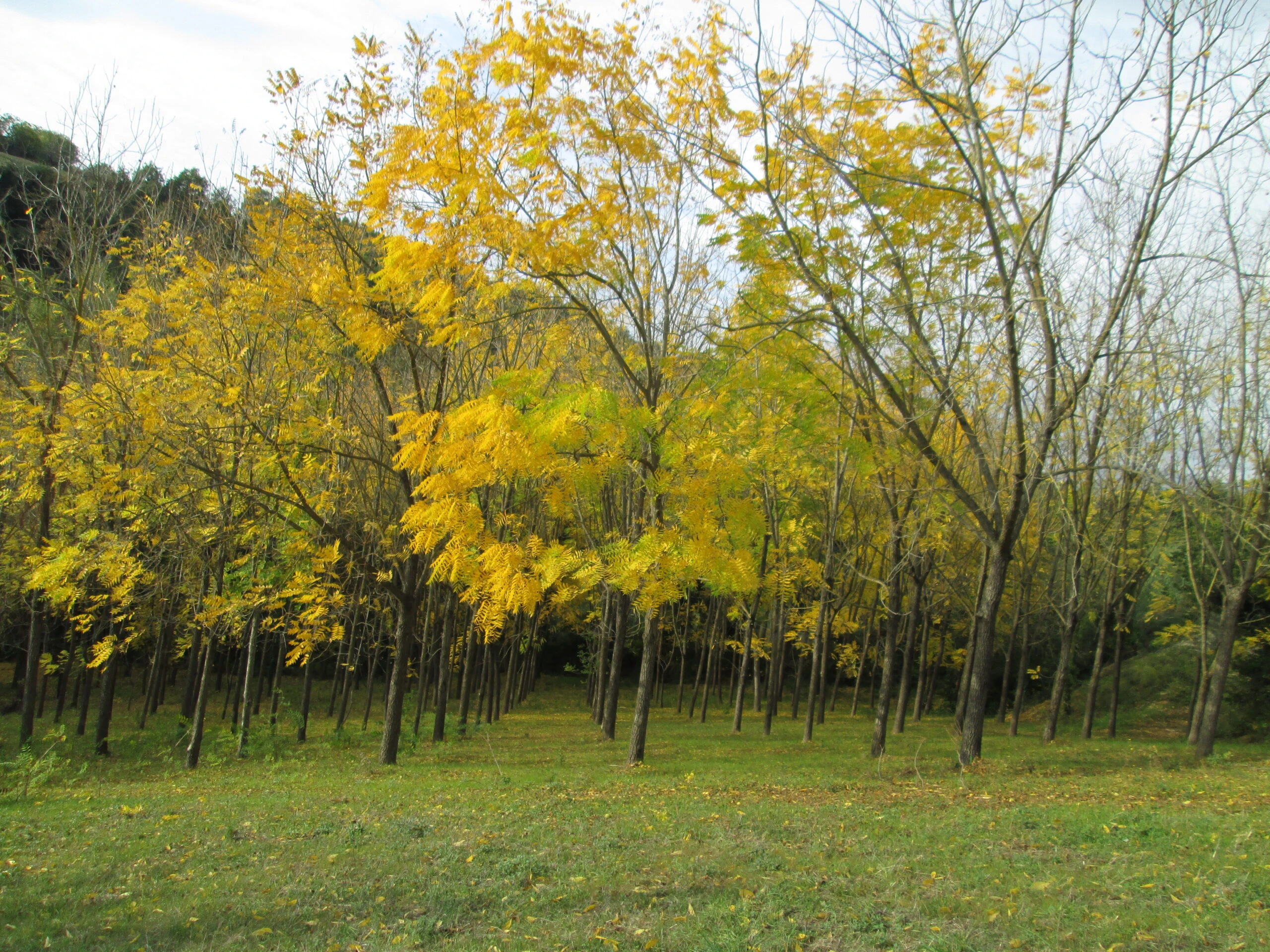 casasorgente-naturismo.it