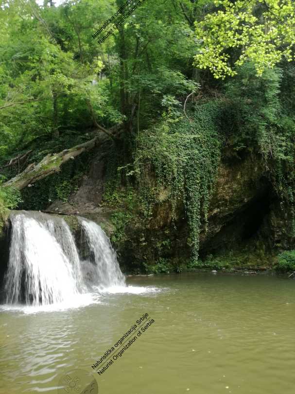 Prvo naturističko planinarenje - kroz šumu, vodu i blato 