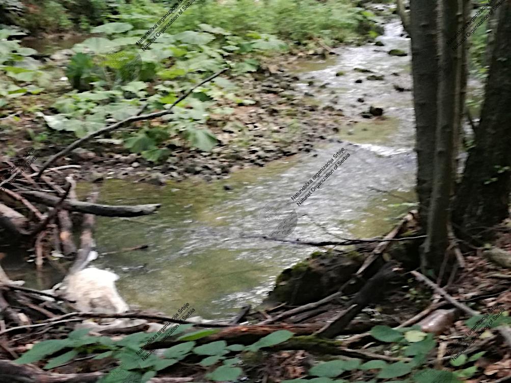 Srbija je lepa, da li je čuvamo dovoljno?