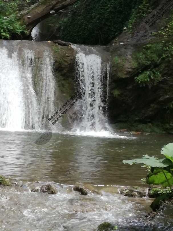 Prvo naturističko planinarenje - kroz šumu, vodu i blato 