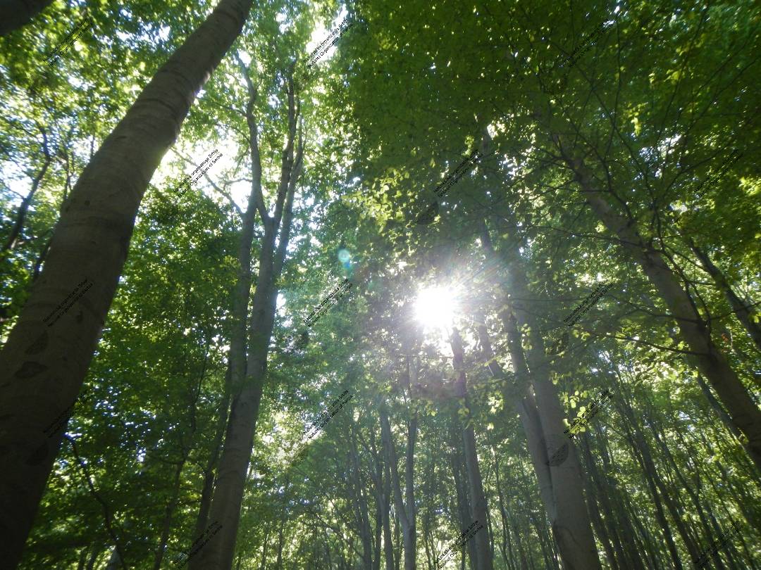 Planinskom stazom do (naturističkog) vrha