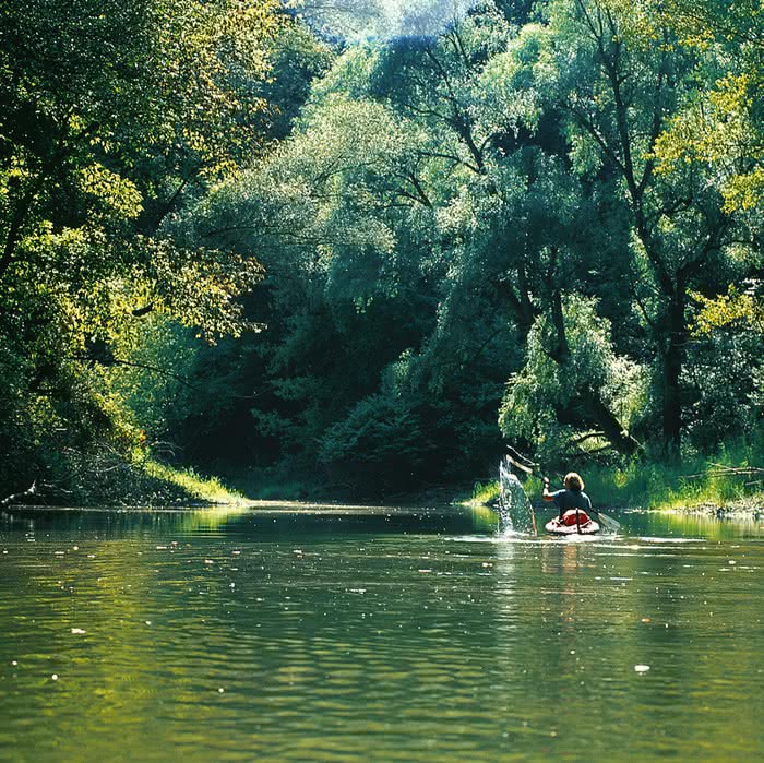 Prolećno okupljanje mladih naturista Evrope