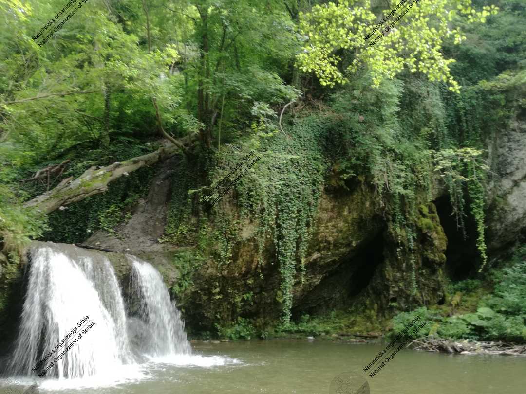 Prvo naturističko planinarenje - kroz šumu, vodu i blato 