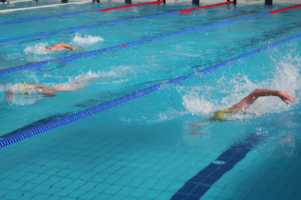 Swimming Gala Belgrade22 © Naturistička organizacija Srbije